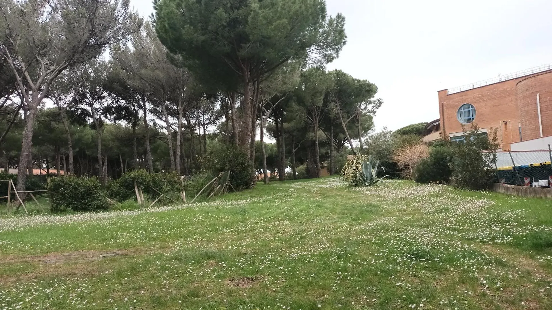 Hibiscus Apartment Castiglioncello