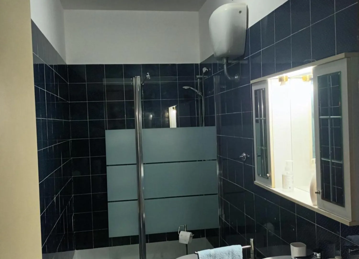 Hibiscus Apartment Castiglioncello